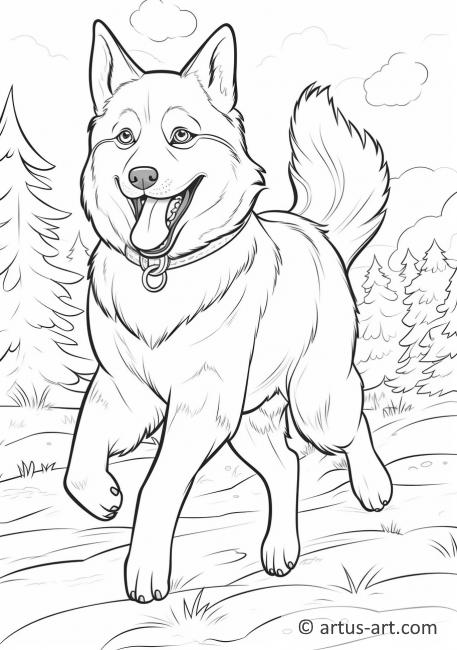 Husky Coloring Page For Kids